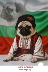 мопс