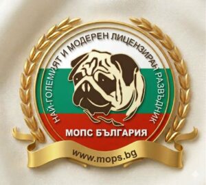 Кучето мопс като домашен любимец: Всичко за него